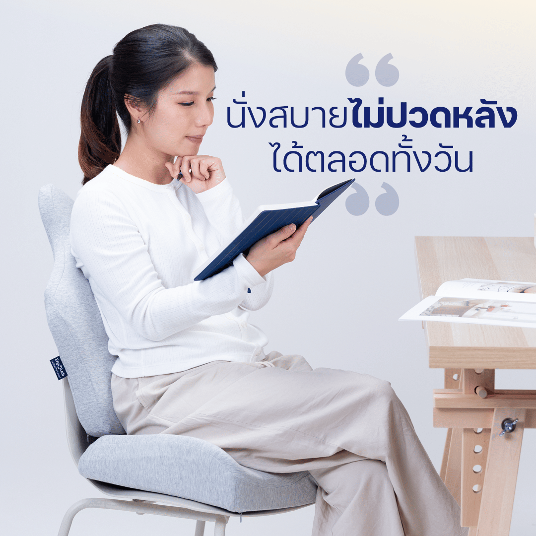 เบาะรองหลัง ERGOLAB 49X45X8 ซม. สีเทา_2